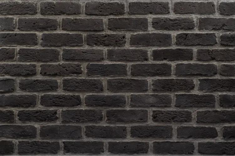Java SCURO