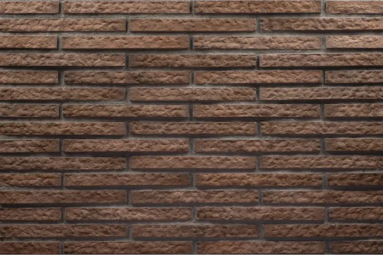 3D Image